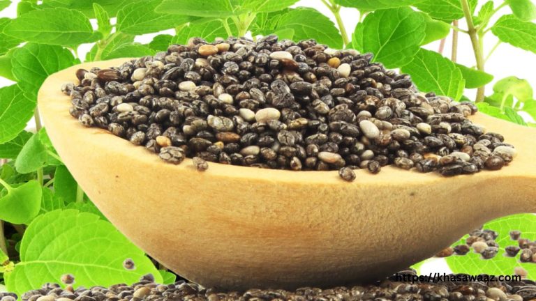 Chia Seeds Benefits: वेट लॉस और सेहत के लिए बेहतरीन उपाय