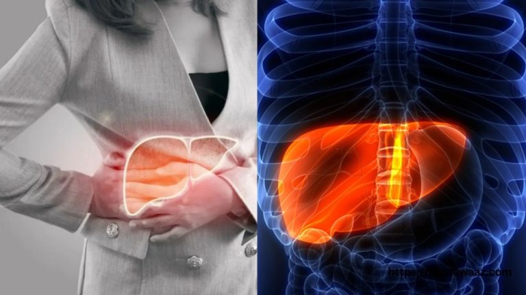 Liver Damage Symptoms: लीवर खराब होने के लक्षण और बचाव के उपाय