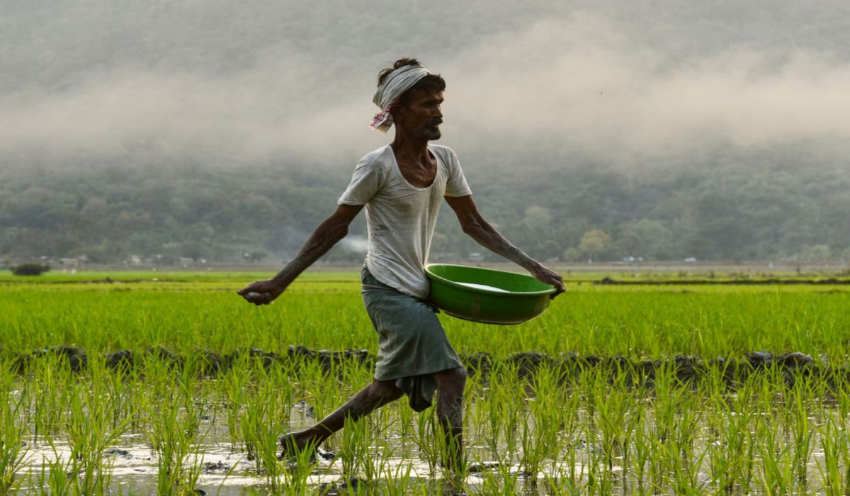 Union Budget 2025: कृषि क्षेत्र के लिए बजट में विशेष प्रावधान, किसानों के लिए नई योजनाएं और सुधार