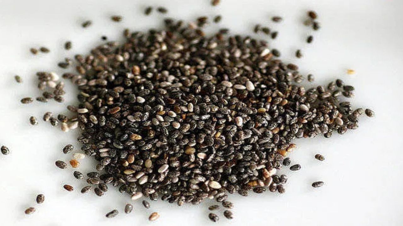 Chia Seeds Benefits: वेट लॉस और सेहत के लिए बेहतरीन उपाय