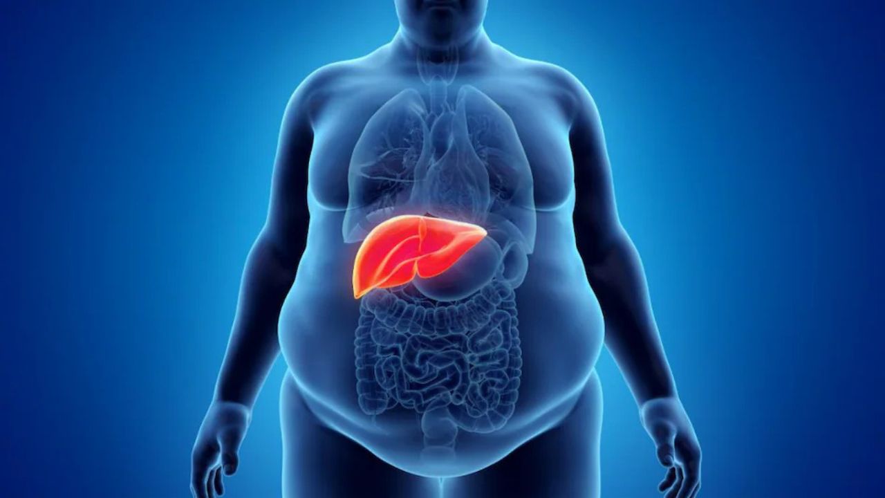 Liver Damage Symptoms: लीवर खराब होने के लक्षण और बचाव के उपाय