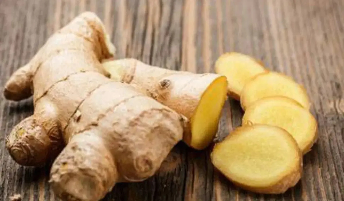 Ginger: दर्द निवारण और स्वास्थ्य लाभों का खजाना