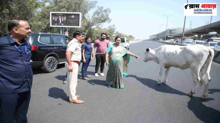 हैदरपुर फ्लाईओवर पर CM Rekha Gupta का काफिला थमा, आवारा जानवर बने वजह!