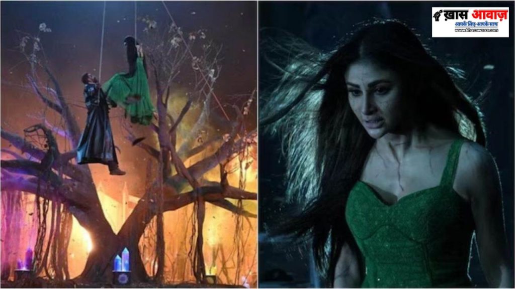 Mouni Roy ने 'द भूतनी' के लिए 45 रातें पेड़ों पर लटकर बिताईं हर रात 10 से 11 घंटे harness में झूलती रहीं