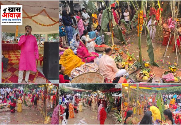 InShot_20251027_203821350