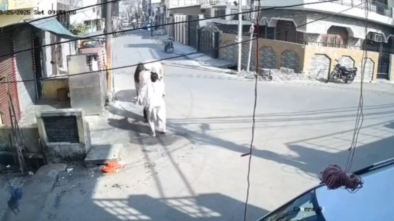 सड़क पार करते बुजुर्ग पर टूटा मौत का कहर, मुरादाबाद में सांड का कहर CCTV में कैद