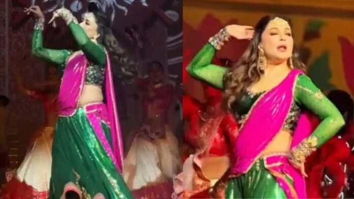 Madhuri Dixit Dance: उदयपुर की शाही शादी में माधुरी का धोलारे धमाका, वायरल वीडियो ने सोशल मीडिया पर मचाया तूफान